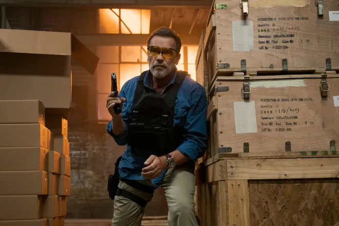 Survey: Arnold Schwarzenegger's Netflix series 'Completely wrecked' is a shame