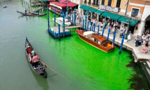 Venice specialists research after waterway turns fluorescent green