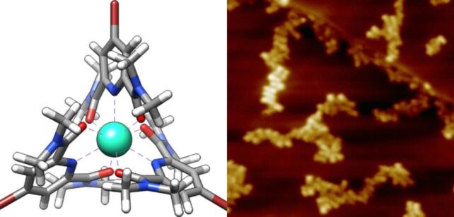 World's Most memorable X-Beam of a Solitary Molecule Uncovers Science on The Littlest Level